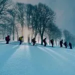 Group of skiers in the forest on a cat skiing ski touring trip in Georgia