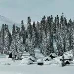 Cabins in the mountain village of Bakhmaro covered in snow and surrounded by forest