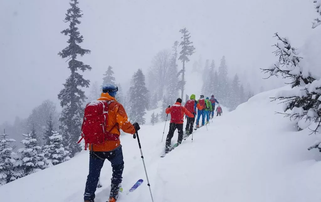 A group of skiers cat skiing and ski touring in Bakhmaro