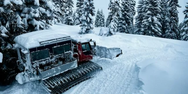 snowcat in Bakhmaro