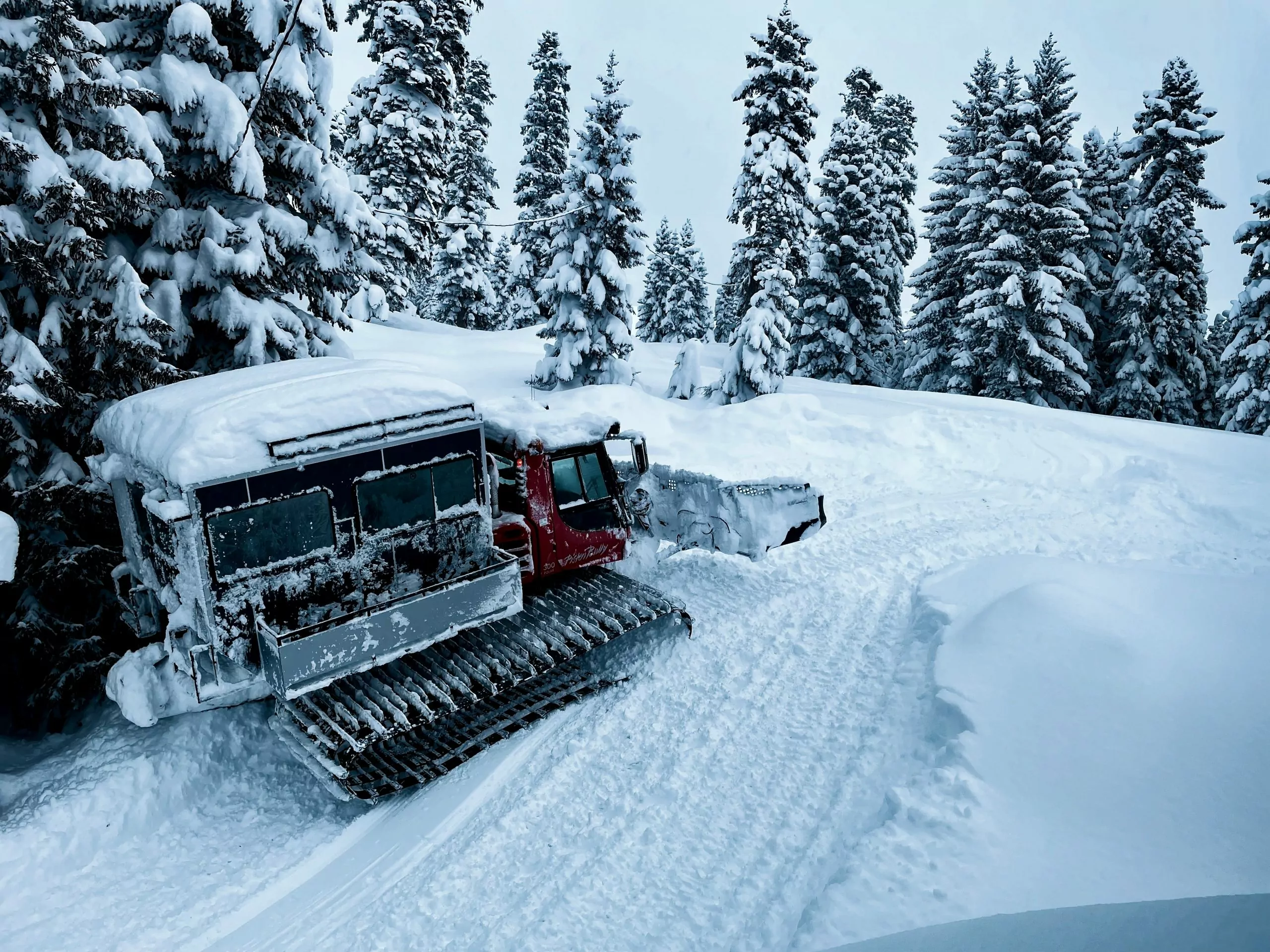 snowcat in Bakhmaro