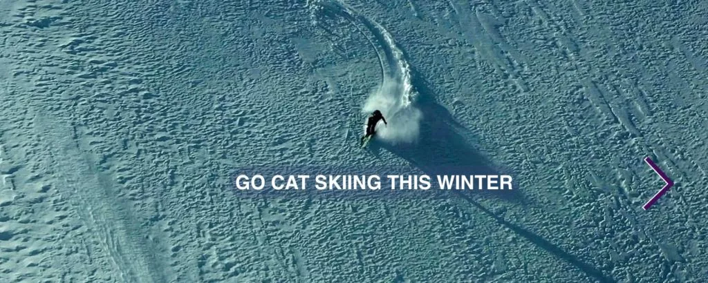 Off piste skier above text saying GO CAT SKIING THIS WINTER